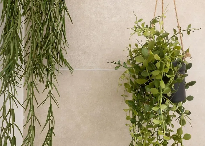 Stylish With Garden *